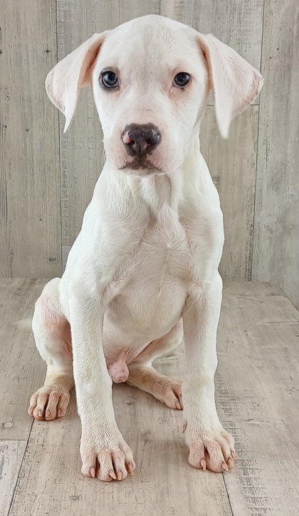 Poseidon thumbnail 2