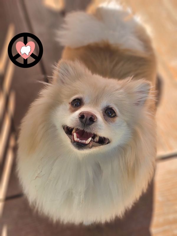 Chloe Ann thumbnail 2