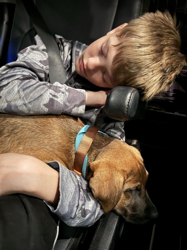 Clyde Howler thumbnail 4