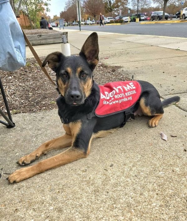 Chris Stapleton thumbnail 2