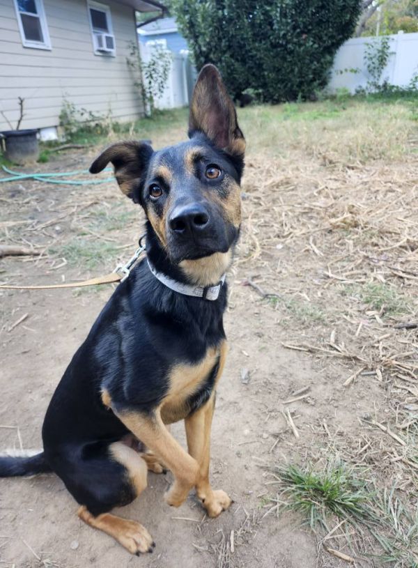 Chris Stapleton thumbnail 3