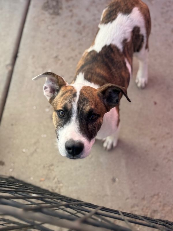 Mills Nilsson thumbnail 2