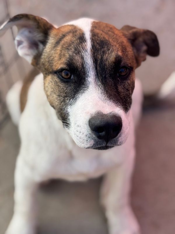 Mills Nilsson thumbnail 3