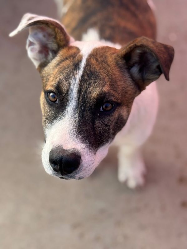 Mills Nilsson thumbnail 4