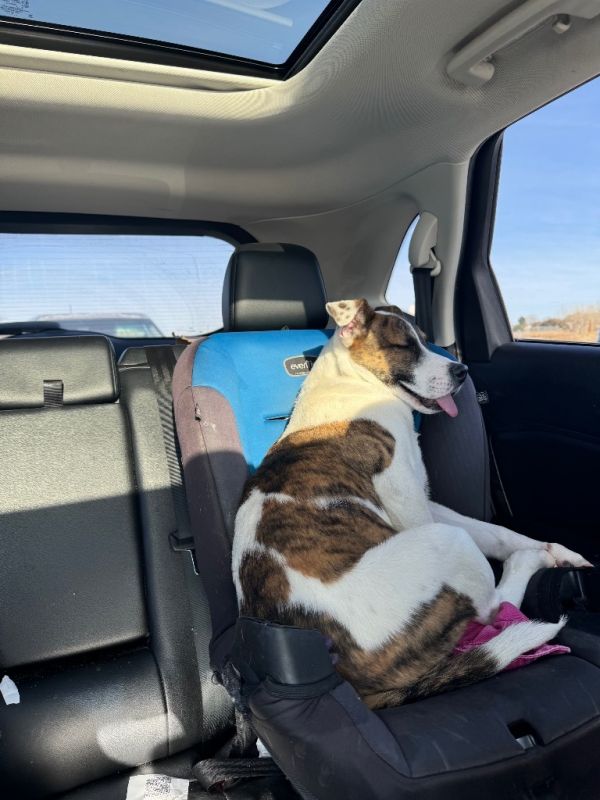 Mills Nilsson thumbnail 5