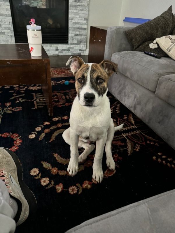 Mills Nilsson thumbnail 6