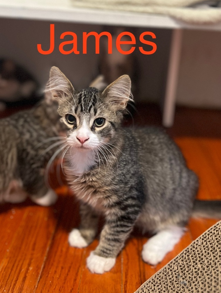James
