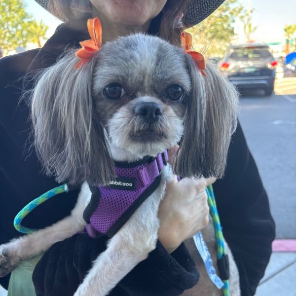 Sophie Os Nv photo 1