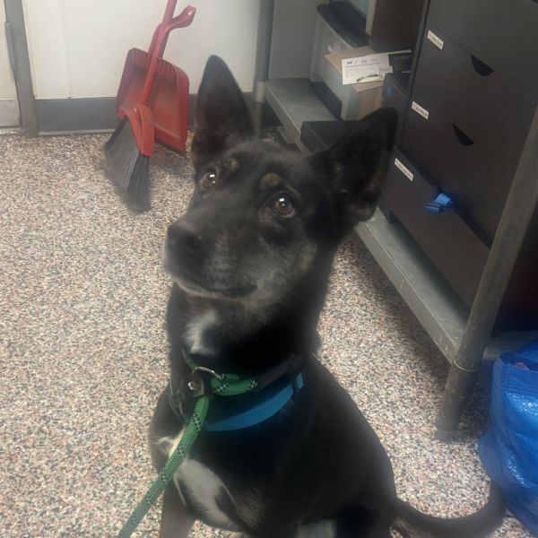 Mayzie May thumbnail 2