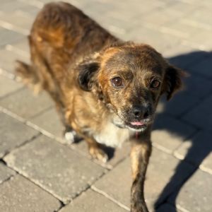 Timmy - City of Industry Location