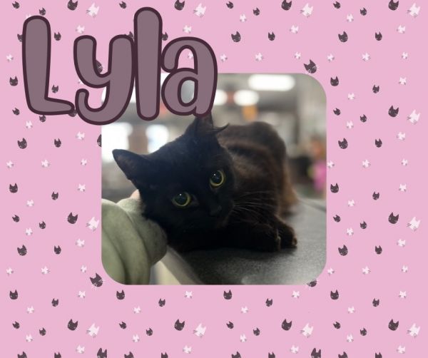 Lyla