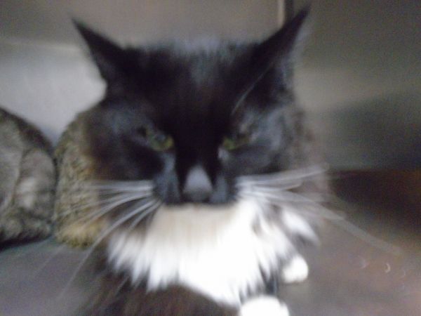 Princess thumbnail 2