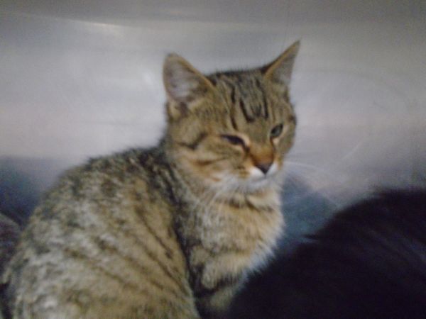 Little Baby thumbnail 2