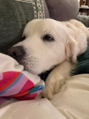 25-082 Penny &#34;coming soon&#34;