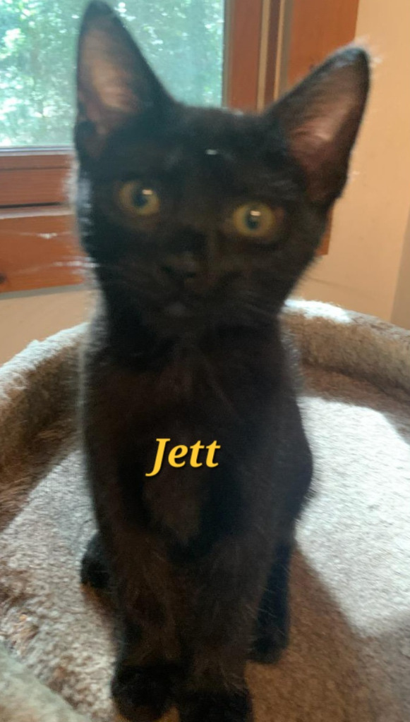 Jett