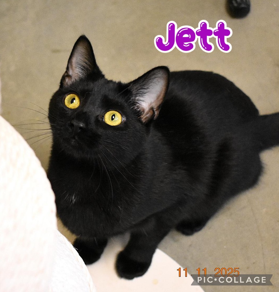 Jett
