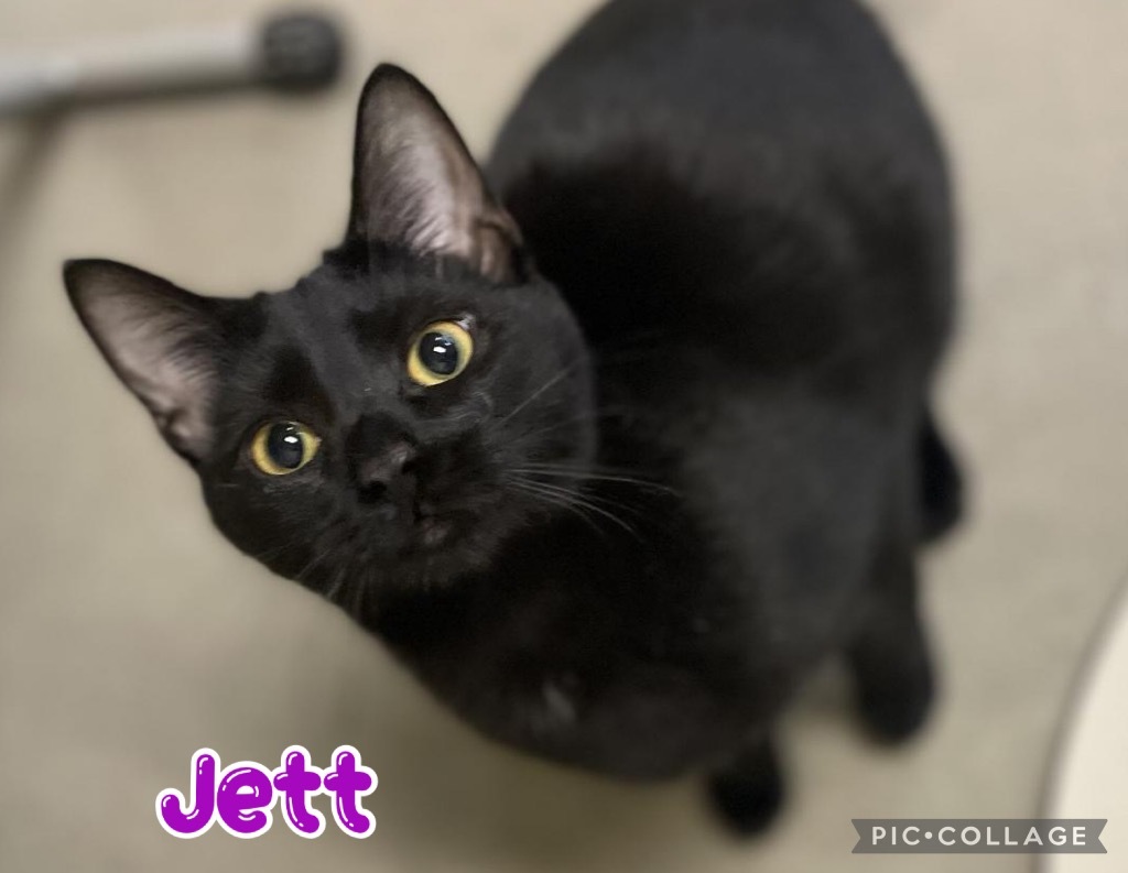 Jett