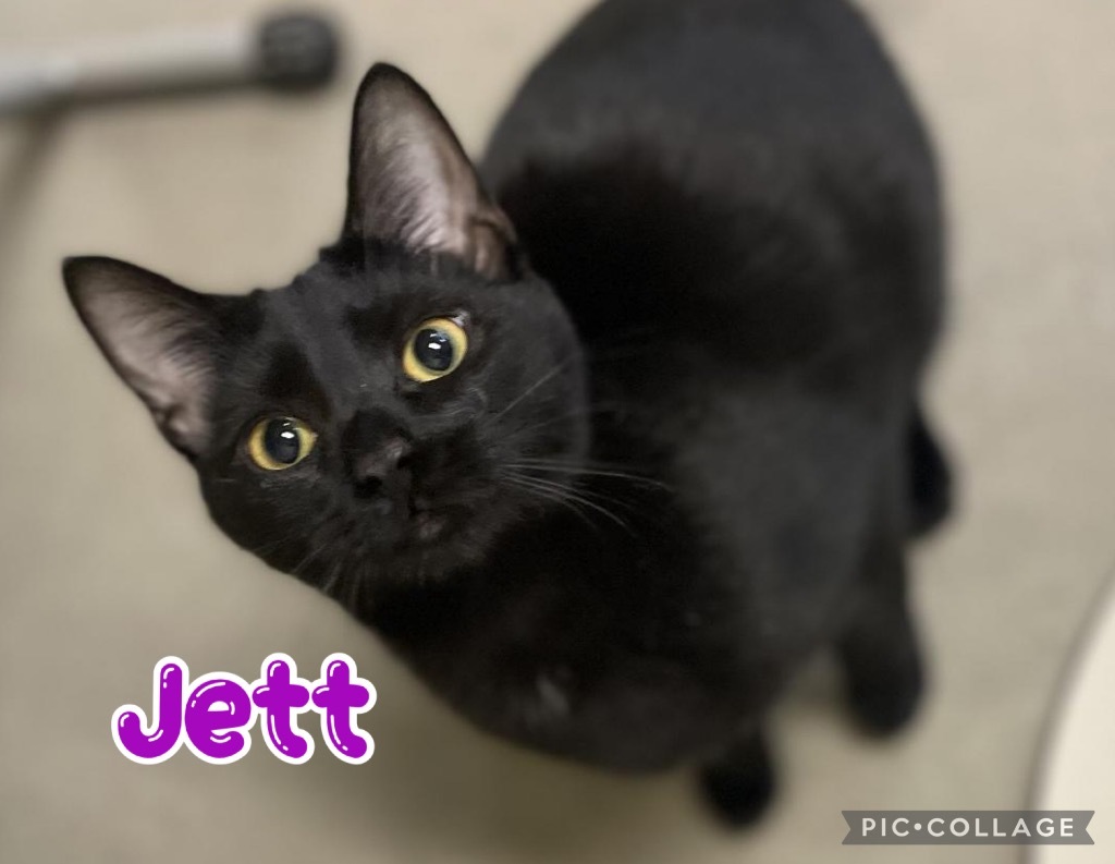 Jett