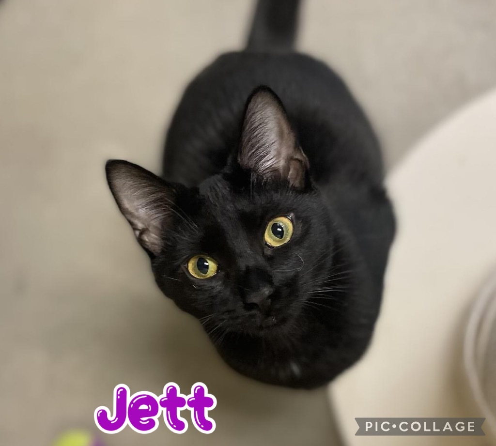 Jett