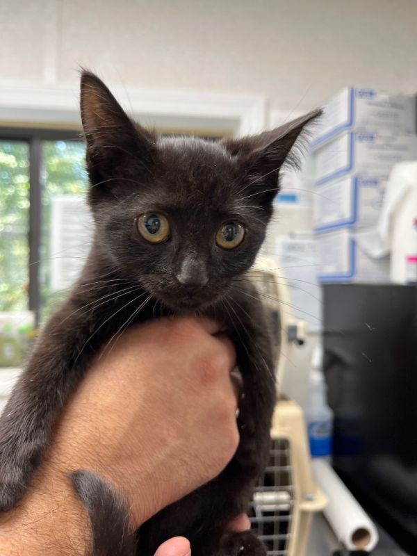 Nancy Wheeler photo 1