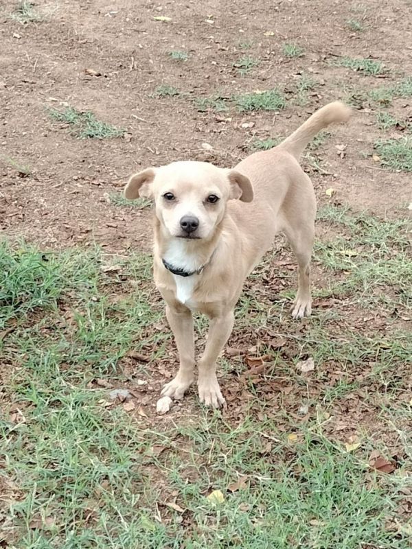 Little Man thumbnail 2