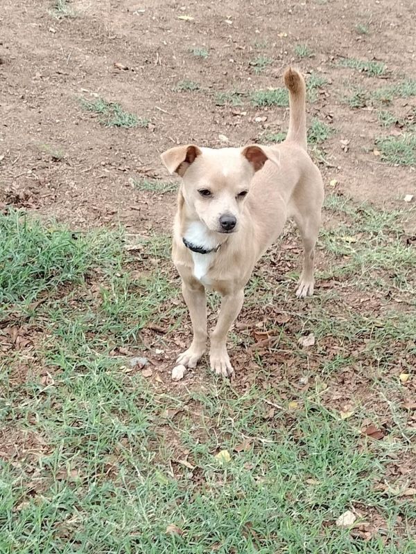 Little Man thumbnail 3