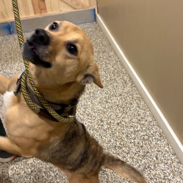 Penny Lane thumbnail 5