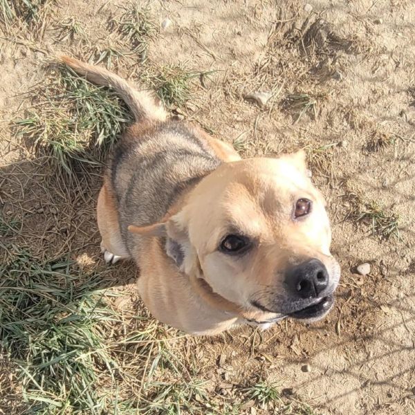 Penny Lane thumbnail 6