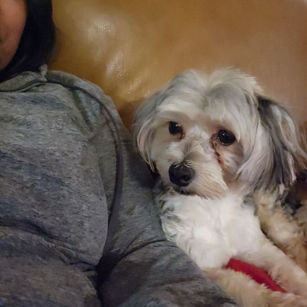 Flapjack thumbnail 2