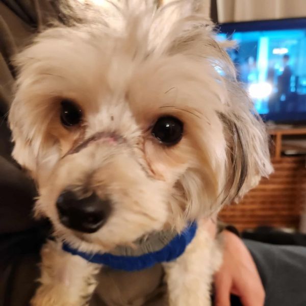 Flapjack thumbnail 4