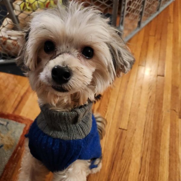 Flapjack thumbnail 5