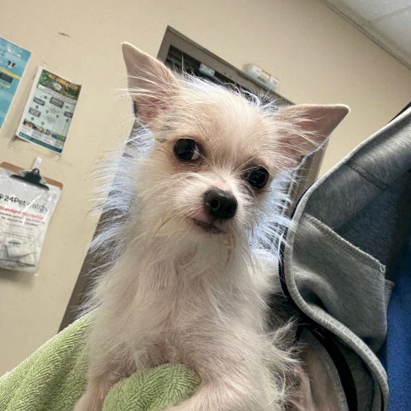 Elly Mae thumbnail 2