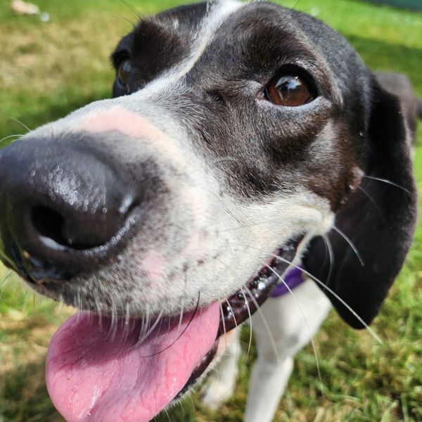 Misty May thumbnail 2