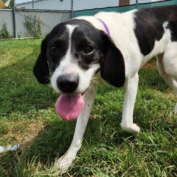 Misty May thumbnail 3