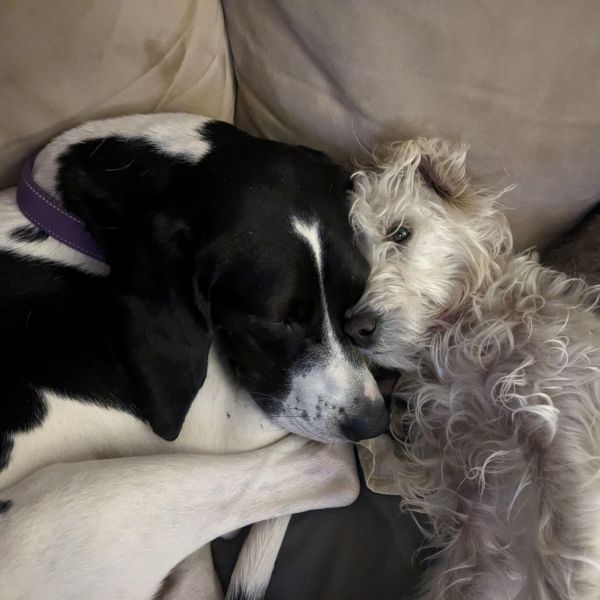 Misty May thumbnail 4