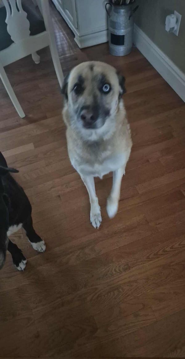 Thor And Delilah thumbnail 2