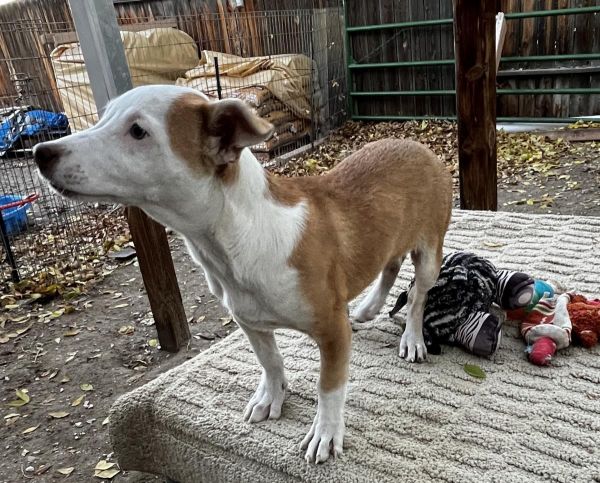 Spice Aka Pretty Girl thumbnail 2