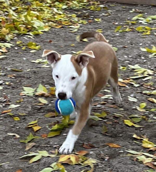 Spice Aka Pretty Girl thumbnail 3