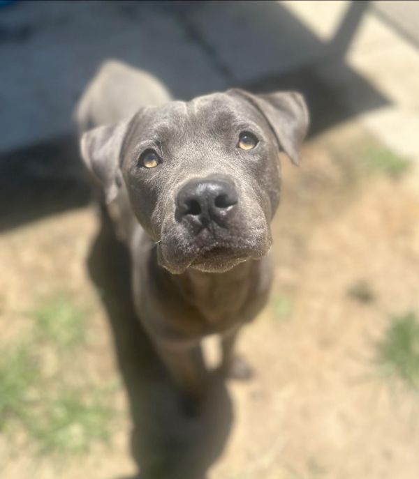 Freckles thumbnail 2