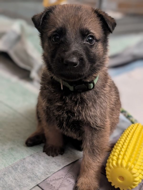 Baby Luigi  Located photo 1