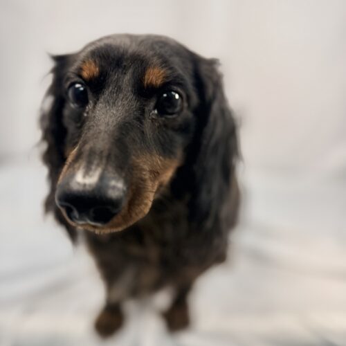 Coors Light thumbnail 2