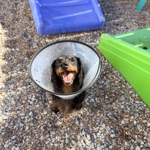 Coors Light thumbnail 3