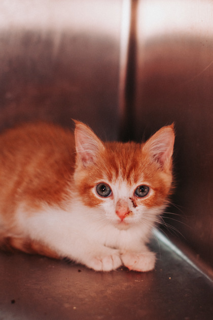 A Kristoff thumbnail 2