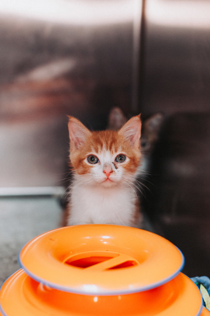 A Kristoff thumbnail 3