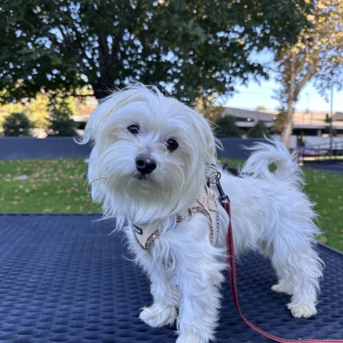 Michelob Ultra thumbnail 4