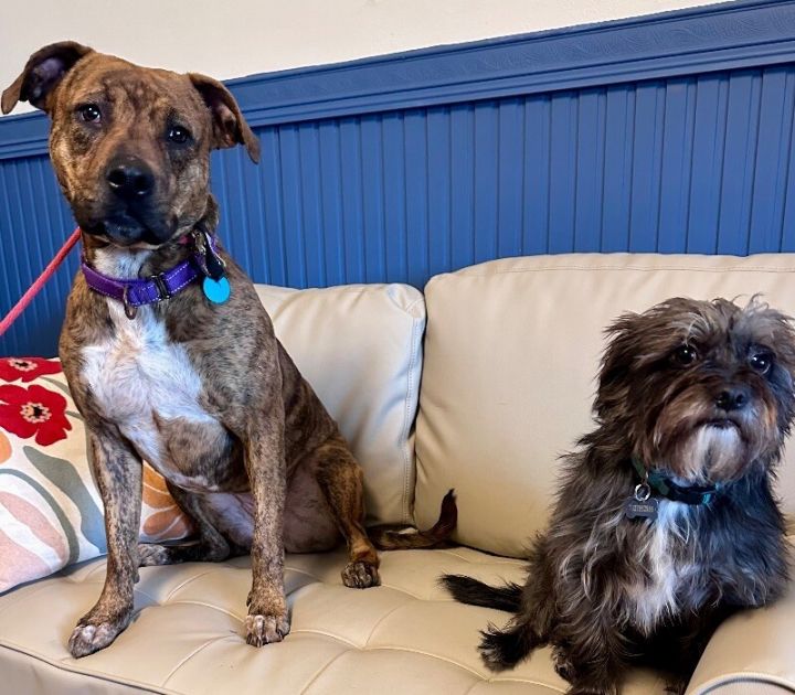 Ansley the fetch queen 6