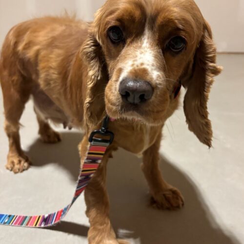 Autumn M thumbnail 2