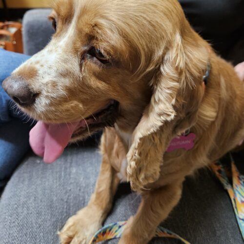 Autumn M thumbnail 3