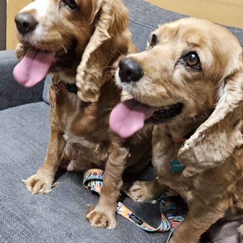 Autumn M thumbnail 4