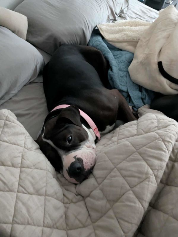 Rilo Gravy thumbnail 2